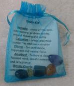 Crystal Healing Tumble Stone Kit - Study