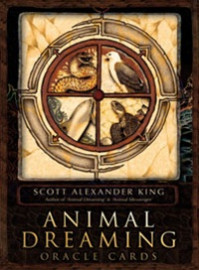 Animal Dreaming Oracle Cards by Scott Alexander King