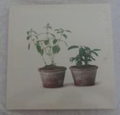 Two Pots with Plants Canvas Art Print 