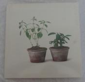 Two Pots with Plants Canvas Art Print 