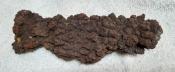 Rare 497 grams Coprolite (Dinosaur Pooh) Fossil