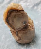 Natural Septarian Free Form Nodule