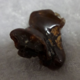 Natural Raw Fire Agate Specimen 