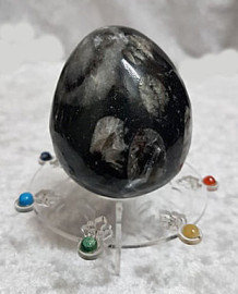 Orthoceras Fossil Egg