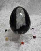 Orthoceras Fossil Egg